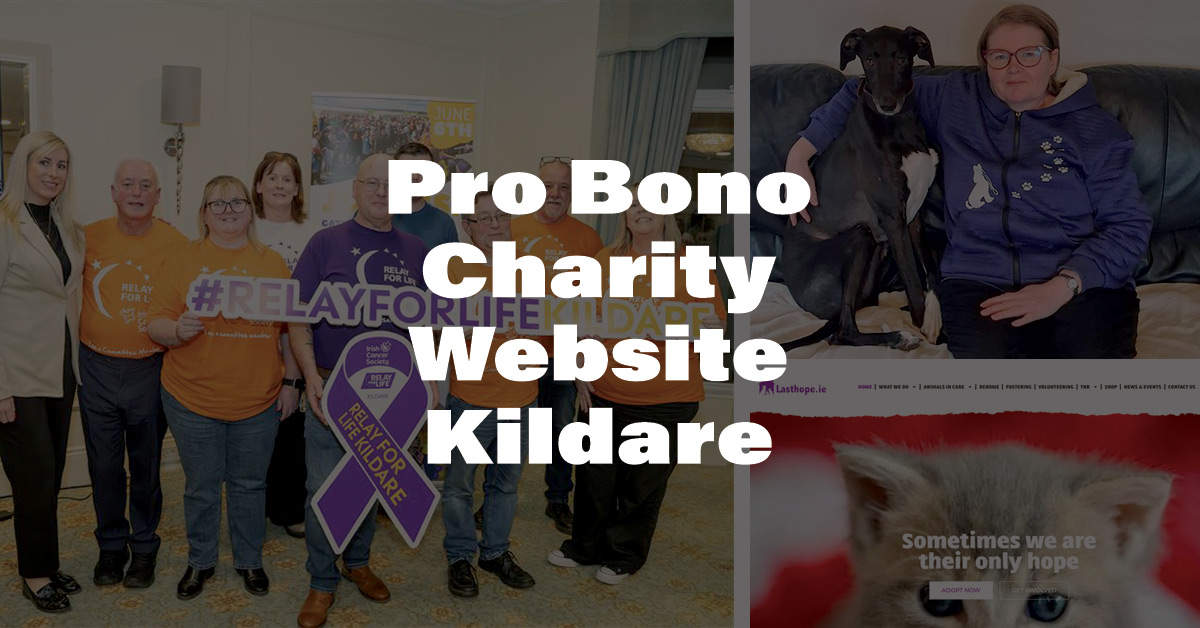 Kola Digital Delivers Pro Bono Charity Website Kildare. Kildare-Based Business. Relay for Life Kildare