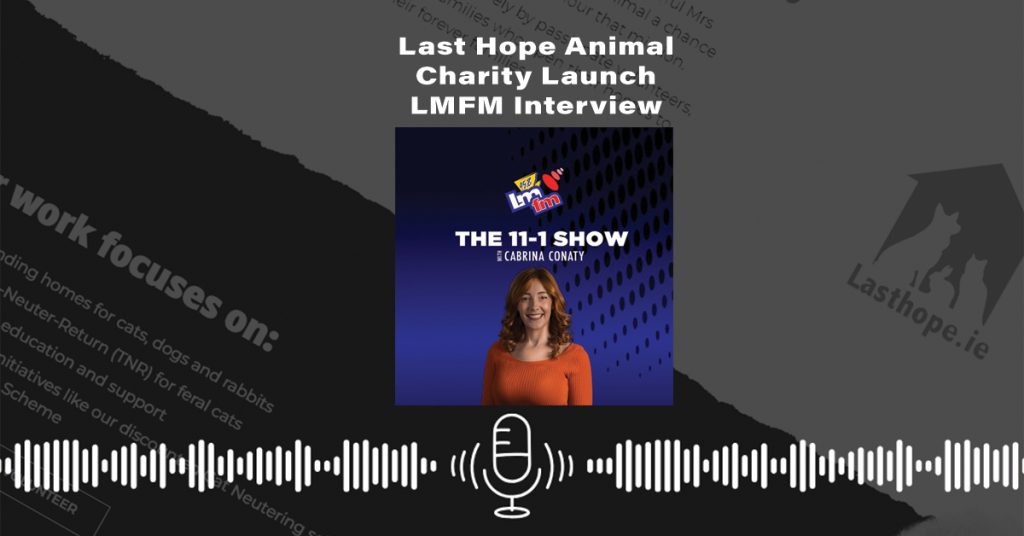Last Hope Animal Charity Launch New Website | LMFM Interview